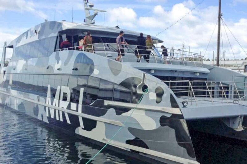 Hobart City Sightseeing Tour including MONA Ticket - A Full Breakdown of What to Expect