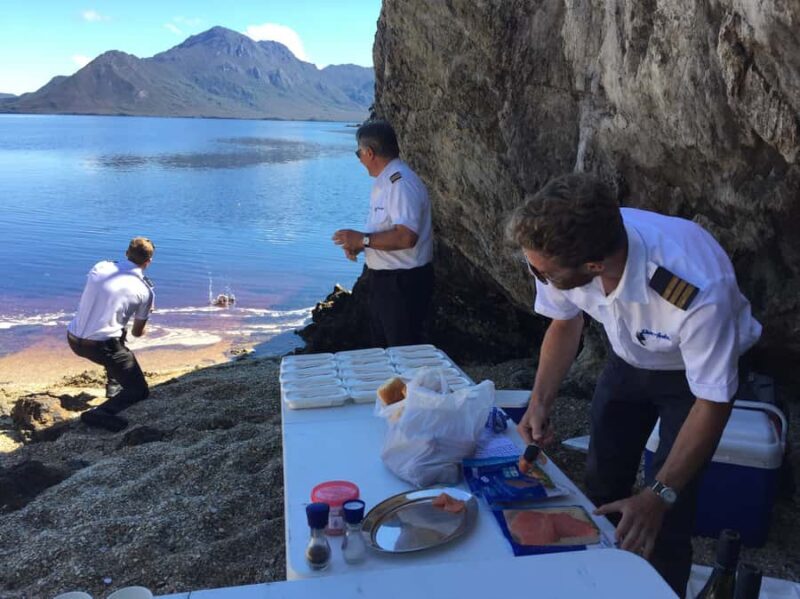 Hobart: Fly & Cruise in Southwest Wilderness Area with Lunch - What’s the Value?