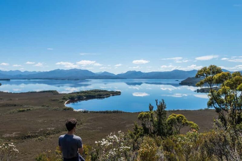 Hobart: Fly & Cruise in Southwest Wilderness Area with Lunch - Who Is This Tour Best Suited For?
