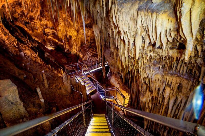 Hobart: Hastings Cave, Tahune Airwalk and Huon Tasting Trail - A Closer Look at the Itinerary