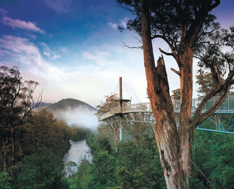 Hobart: Hastings Cave, Tahune Airwalk and Huon Tasting Trail - The Value of This Tour