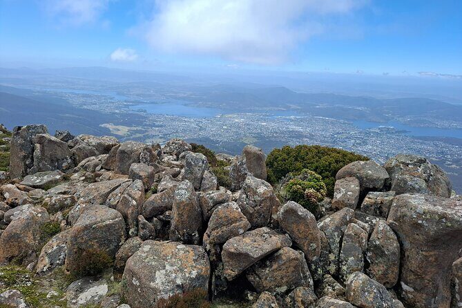 Hobart Highlights and Mount Wellington Shore Excursion - An Overview of the Experience