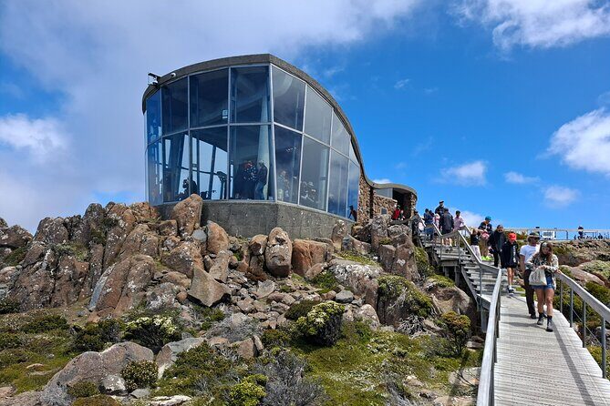 Hobart Highlights and Mount Wellington Shore Excursion - What Past Travelers Say