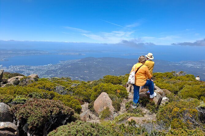 Hobart Highlights and Mount Wellington Shore Excursion - The Sum Up