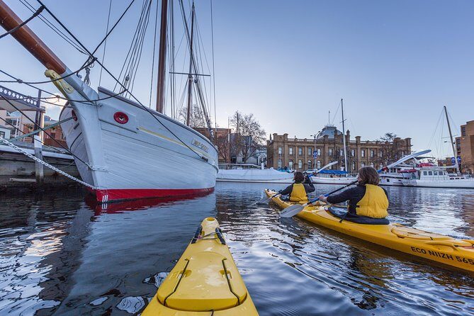 Hobart Kayak Tour - An In-Depth Look at the Hobart Kayak Tour