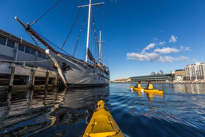 Hobart Kayak Tour - Frequently Asked Questions