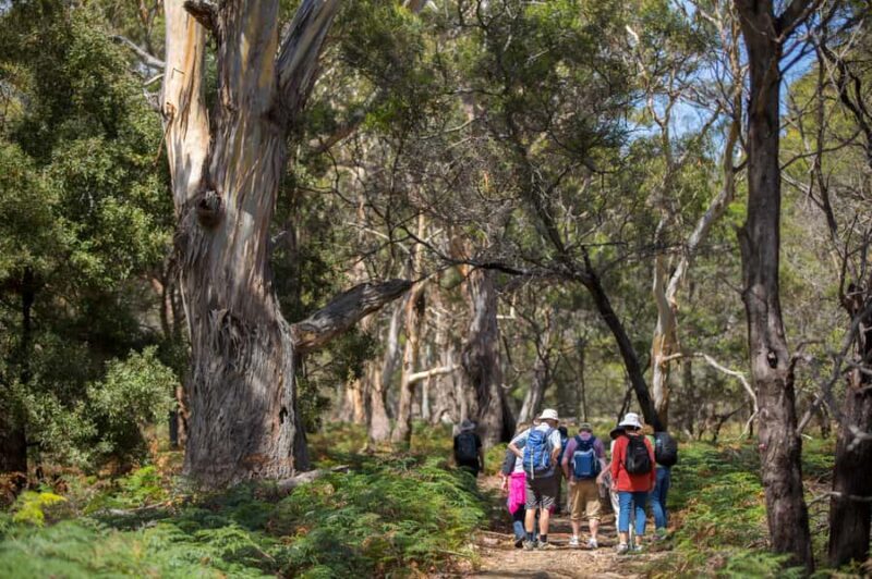 Hobart: Maria Island National Park Active Full-Day Tour - The Journey Begins: From Hobart to the Island