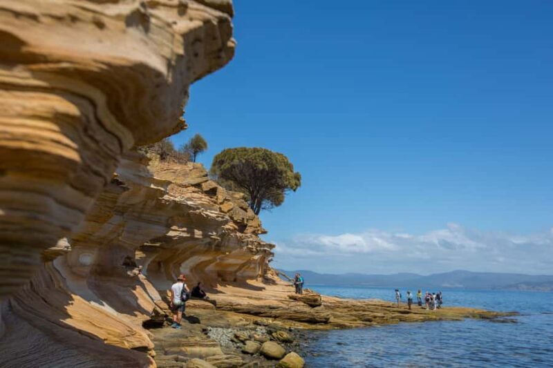 Hobart: Maria Island National Park Active Full-Day Tour - Scenic Walks: Painted Cliffs and Fossil Cliffs