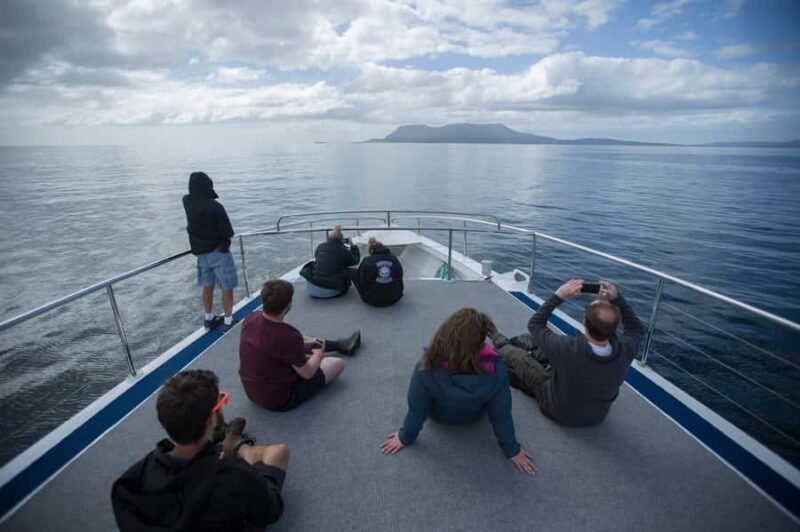 Hobart: Maria Island National Park Active Full-Day Tour - Wildlife Encounters and Beach Time