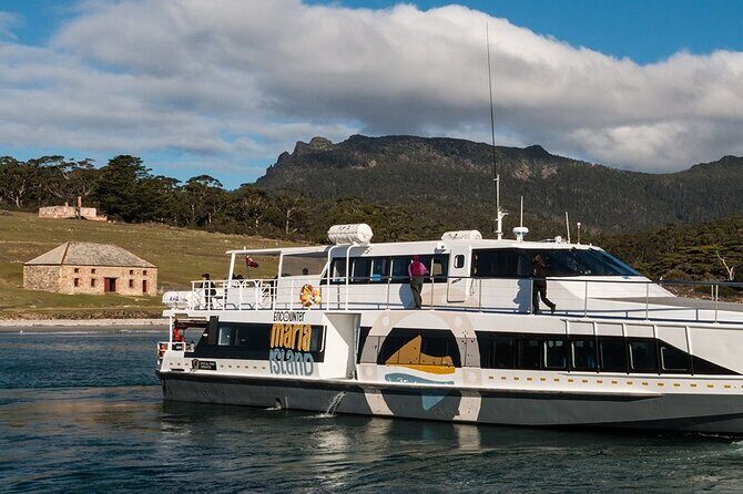 Hobart: Maria Island National Park - Nature & Wildlife Adventure - Getting There: Transport and Timing