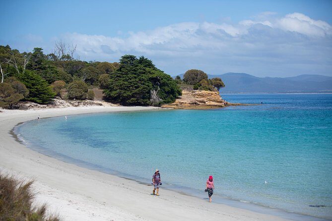 Hobart: Maria Island National Park - Nature & Wildlife Adventure - Exploring the Painted Cliffs and Fossil Cliffs