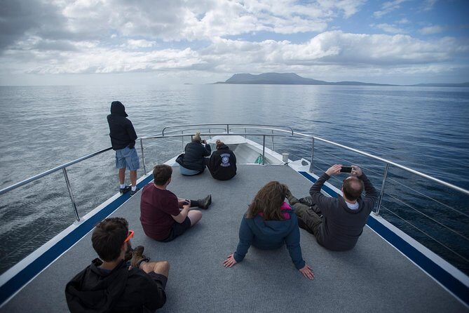 Hobart: Maria Island National Park - Nature & Wildlife Adventure - Wildlife Encounters