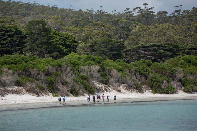 Hobart: Maria Island National Park - Nature & Wildlife Adventure - Historical Significance: The Convict Site