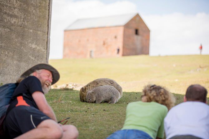 Hobart: Maria Island National Park - Nature & Wildlife Adventure - Beaches, Bays, and Marine Life