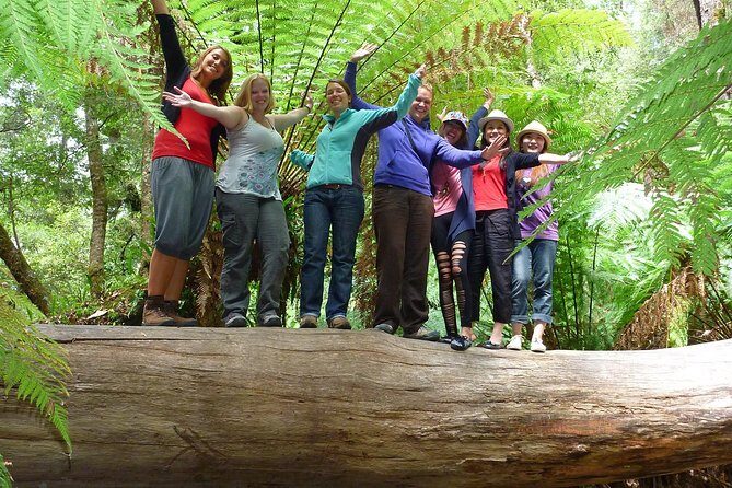 Hobart: Mt. Field, Mt Wellington & Wildlife - Active Day Tour - An In-Depth Look at This Tasmania Adventure