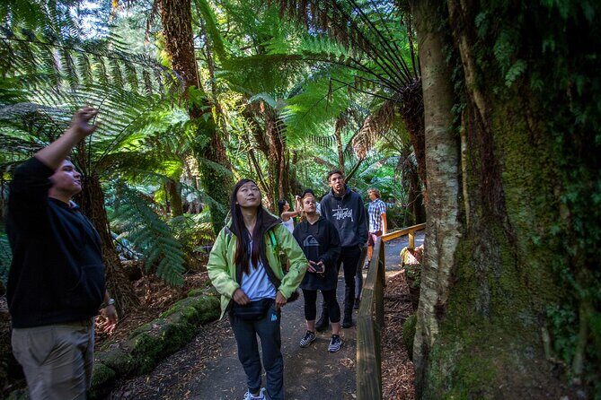 Hobart: Mt. Field, Mt Wellington & Wildlife - Active Day Tour - Frequently Asked Questions