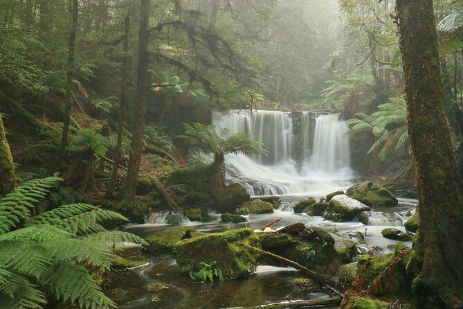 Hobart: Mt. Field, Mt Wellington & Wildlife - Active Day Tour - Final Thoughts
