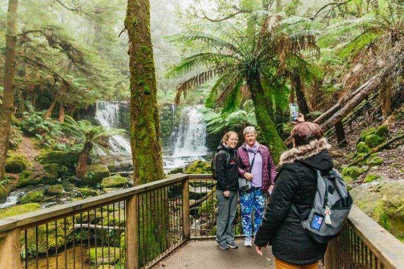 Hobart: Mt Wellington, Mt Field, Bonorong and Richmond Trip - Wildlife Encounters and Conservation Stories