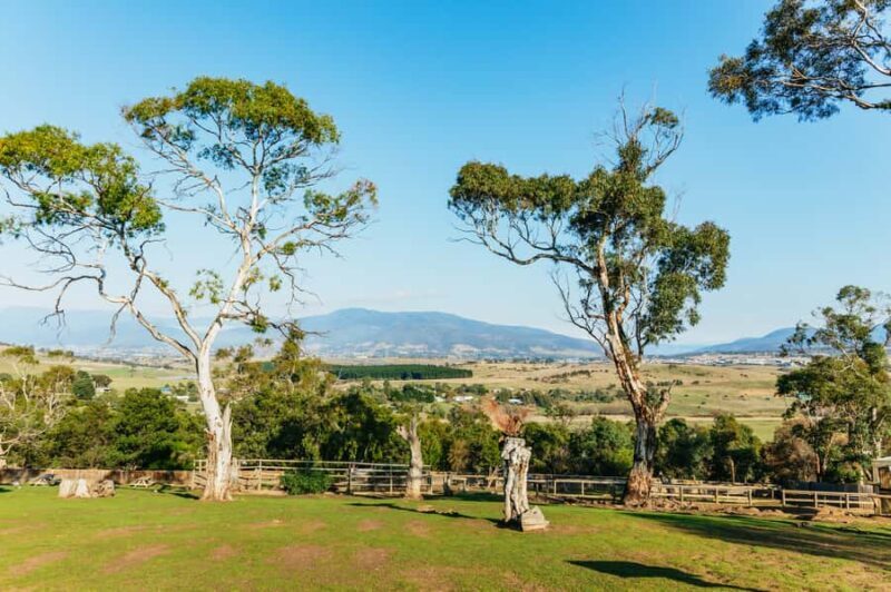 Hobart: Mt Wellington, Mt Field, Bonorong and Richmond Trip - FAQ