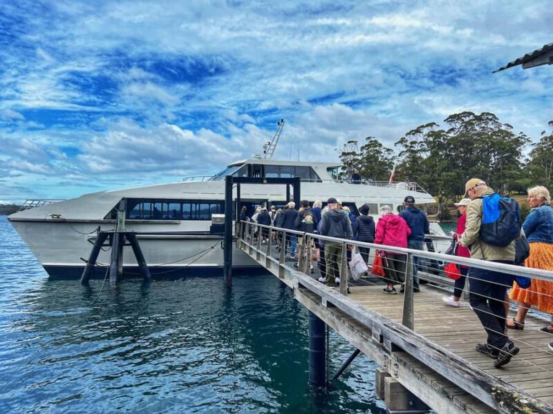 Hobart: Port Arthur & Tasman Park Full-Day Trip with Cruise - The Quality of Guides and Overall Experience
