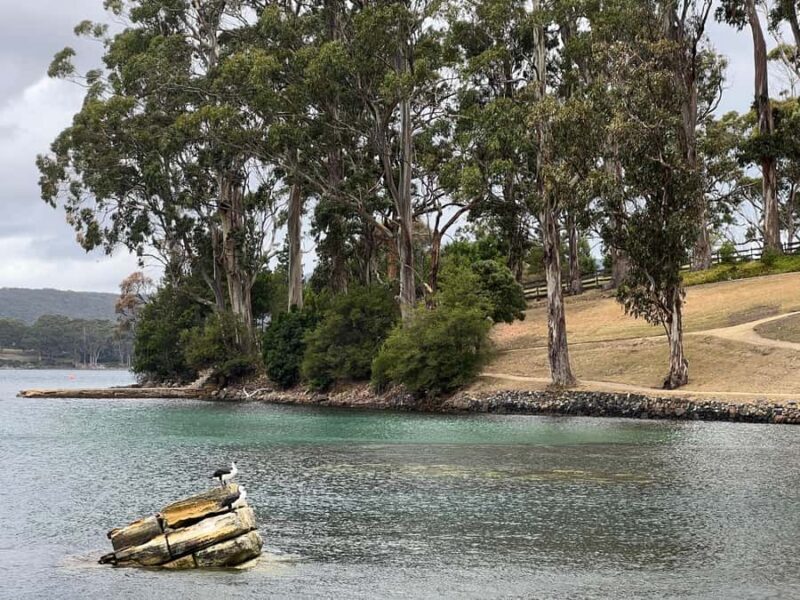 Hobart: Port Arthur & Tasman Park Full-Day Trip with Cruise - Final Thoughts