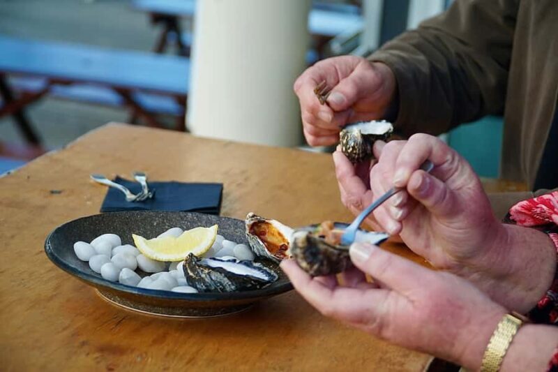 Hobart: Private City Tour with Mount Wellington & Tea - The Scenic Drive to Mount Wellington