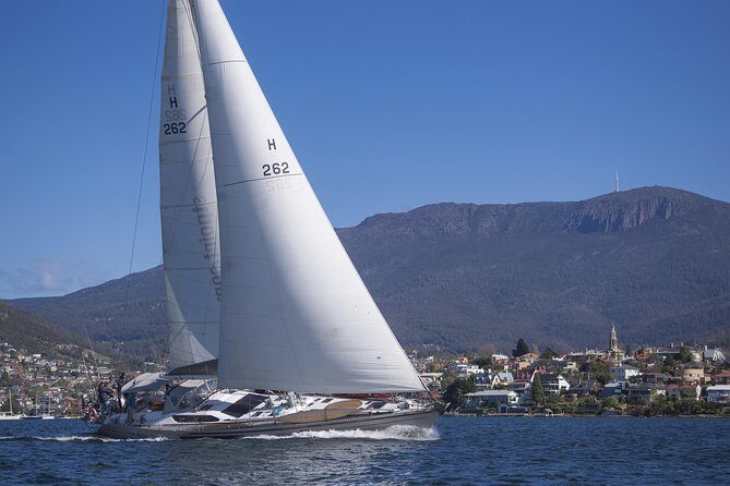 Hobart Sailing Experience - Who Should Book This Tour?