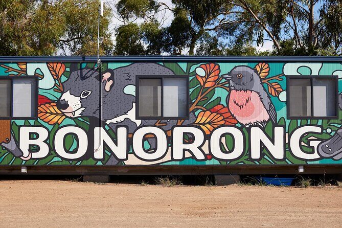 Hobart Shore Excursion: Bonorong Bus - An In-Depth Look at the Bonorong Bus Shore Excursion