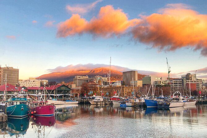 Hobart Shore Excursion- Open Top City Explorer Tour 9.30am - Who Will Love This Tour?