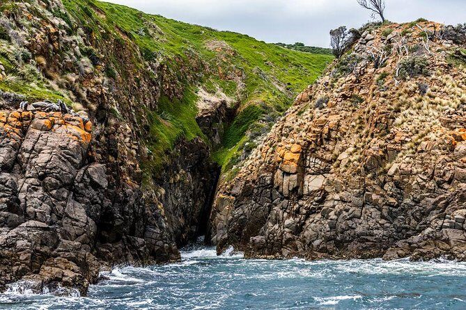 Hobart Sightseeing Cruise including Iron Pot Lighthouse - Key Points