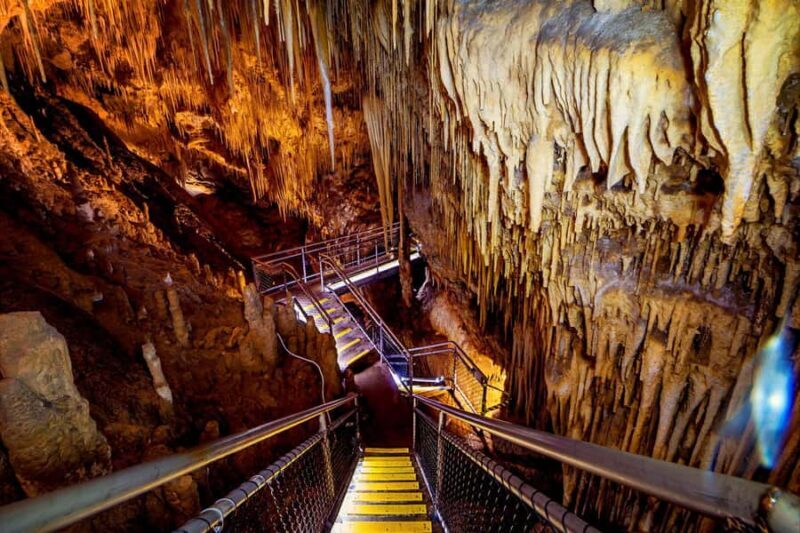 Hobart: Tahune Airwalk, Hastings Cave, Thermal Springs Tour - What Reviewers Say