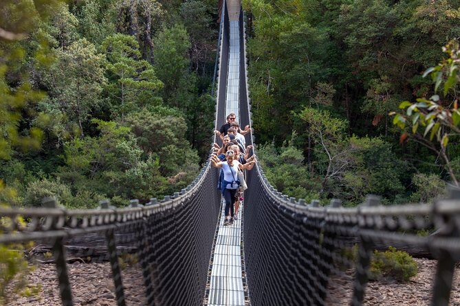 Hobart: Tahune Airwalk, Hastings Caves & Thermal Springs Pool - An In-Depth Look at the Tour Experience