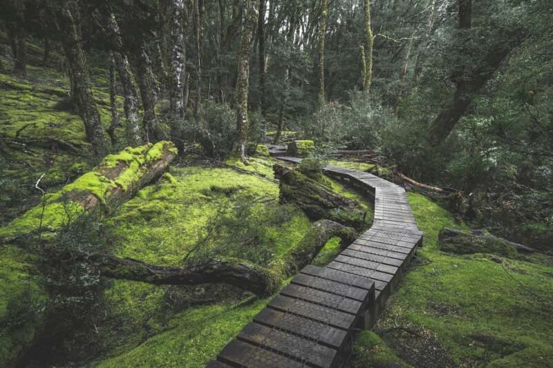 Hobart to Cradle Mountain to Launceston - What Makes This Tour Stand Out?