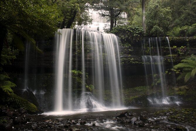 Hobart: Waterfalls, Wilderness & Wildlife - Active Day Tour - A Full Day of Natural Wonders and Wildlife