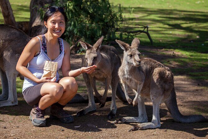 Hobart: Waterfalls, Wilderness & Wildlife - Active Day Tour - What Travelers Say