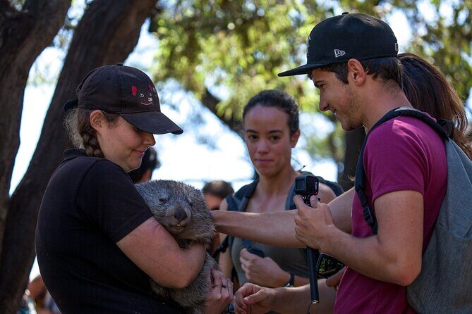 Hobart: Waterfalls, Wilderness & Wildlife - Active Day Tour - Frequently Asked Questions