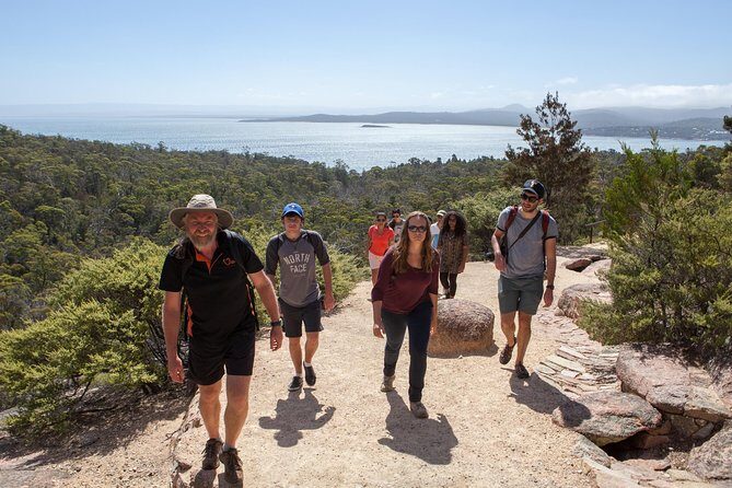 Hobart: Wineglass Bay & Freycinet National Park - Active Day Tour - Freycinet National Park: The Heart of the Day