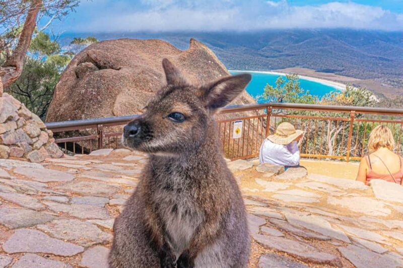 Hobart: Wineglass Bay, Freycinet Park, and Richmond Tour - FAQ