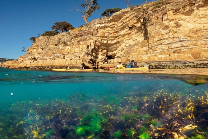 Hobart's Cliffs, Caves and Beaches Kayak Tour - The Sum Up: Who Will Love This Experience?