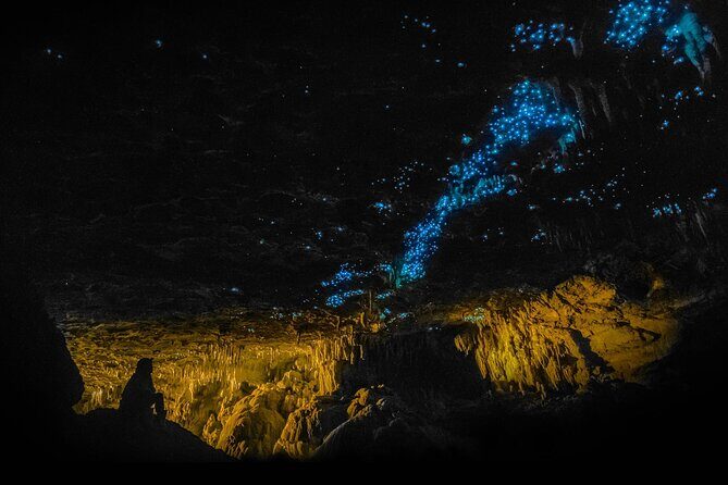 Hobbiton Movie Set and Waitomo Caves Exclusive (1-6 traveler) - Final Thoughts: Is It Worth It?