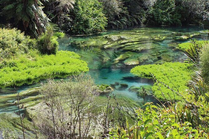 Hobbiton Movie Set & Blue Springs: Private Tour from Auckland - FAQ