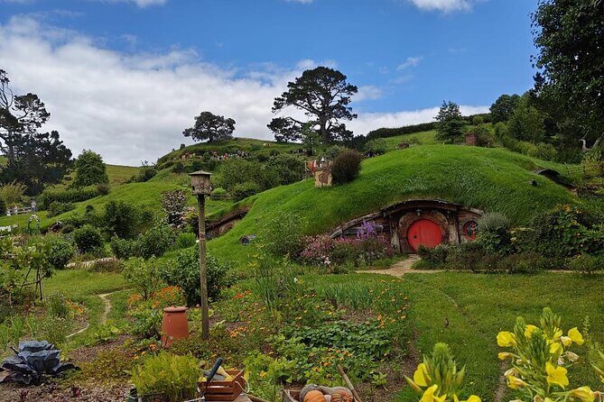 Hobbiton Movie Set Guided Day Tour with Lunch from Auckland - FAQ