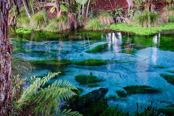 Hobbiton Movie Set tour & Glowworm Cave day tour - The Itinerary in Detail