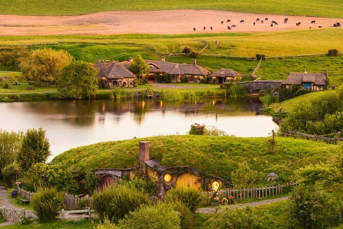 Hobbiton Movie Set Tour with lunch from Auckland - The Itinerary in Detail