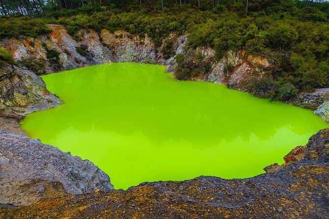 Hobbiton & Rotorua including Wai-O-Tapu - Small Group Tour from Auckland - Who Is This Tour For?