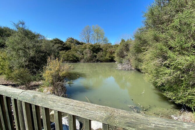 Hobbiton & Rotorua Small Group Tour from Auckland - The Sum Up