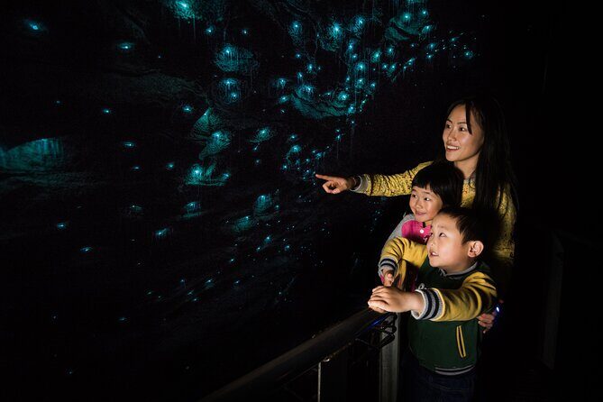 Hobbiton, Waitomo Caves and Kiwi House Day Tour From Auckland - FAQ