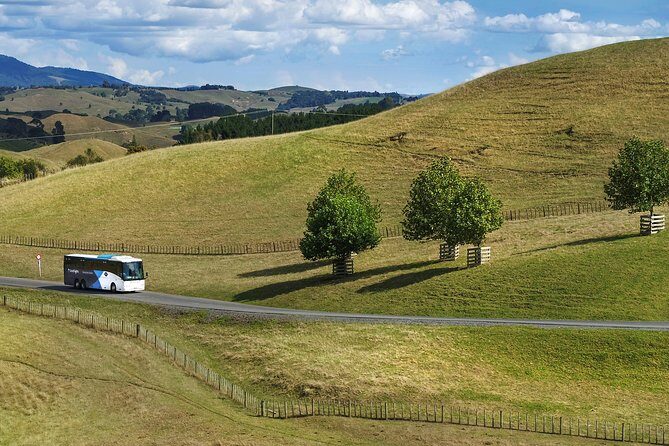 Hobbiton & Waitomo Caves Guided Tour from Auckland with Lunch - The Journey Back and Timing