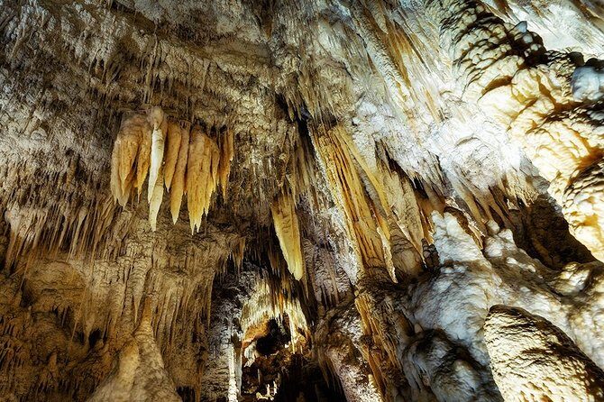 Hobbiton & Waitomo Caves Small Group Tour from Auckland inc Lunch - Returning to Auckland: A Scenic and Secret Route