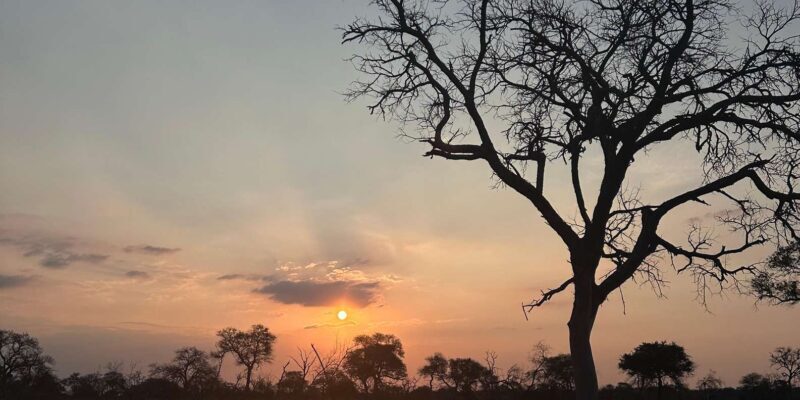 Hoedspruit: Dinner in the Bush & Safari Game Drive - The Itinerary Breakdown